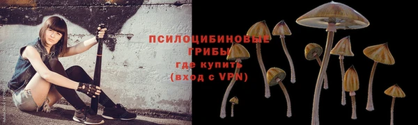 метадон Елизово