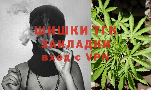 метадон Елизово